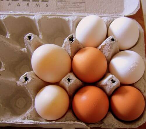 Eierdoos met eieren