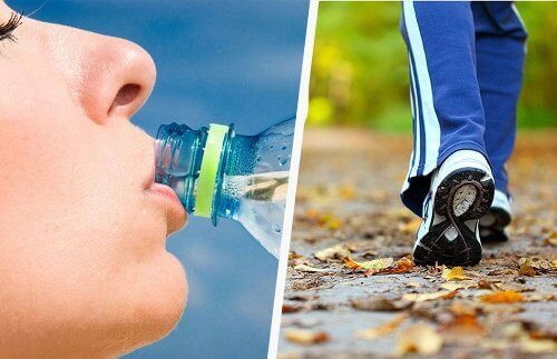 gewicht-en-vet-verliezen Gewicht en Vet verliezen
