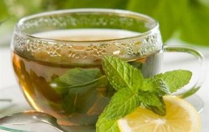 Een gids voor het maken van thee en infusies