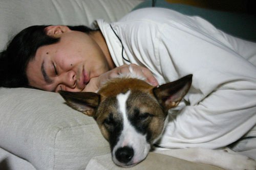 Slapende Jongen en Hond