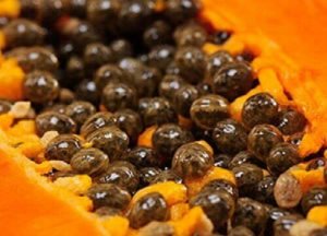 5 supervoordelen van papajazaden