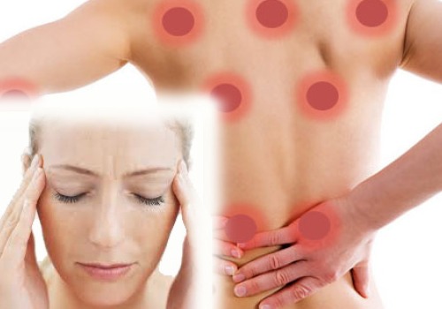 Kruiden die de symptomen van fibromyalgie verlichten