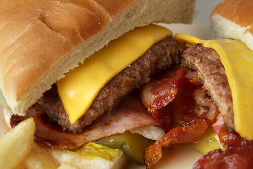 Weet jij wat hamburgers echt zijn?