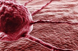 Chilipepers vs. kanker: de wonderlijke stof capsaïcine