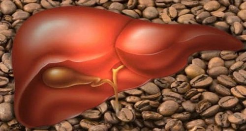 3 kopjes koffie per dag: is het gezond?