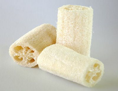 Luffa