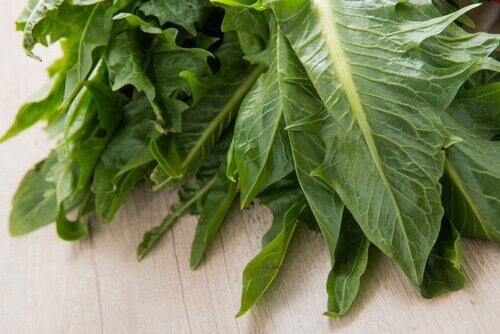 Groene Bladgroenten