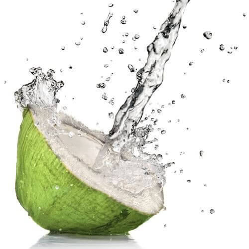 Water uit een Kokosnoot