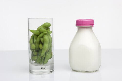Melk en Bonen
