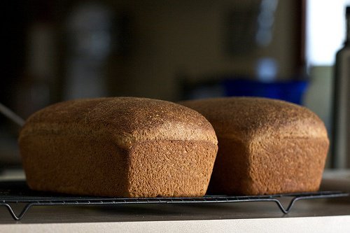 Volkoren Brood