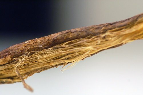 psoriasis onder controle zoethout