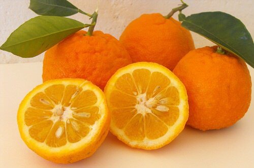 Gezond leven en afvallen met sinaasappels