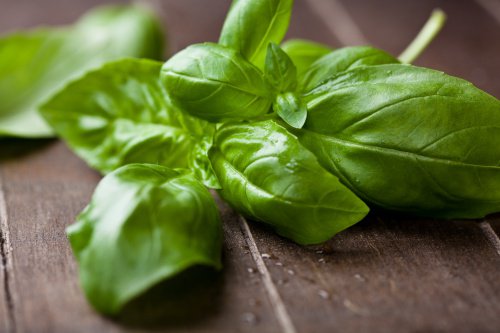 Basilicum om je cholesterolgehalte te verlagen