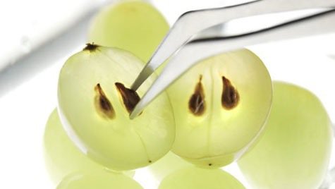 Witte druiven met pit