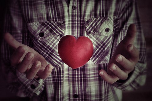 Man houdt har tussen zijn handen