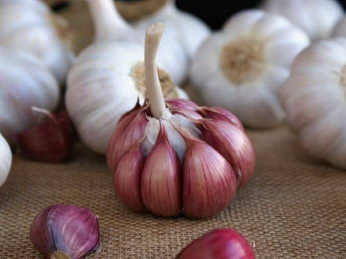 Knoflook om je cholesterolgehalte te verlagen
