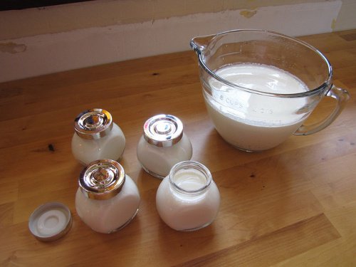 Yoghurt om je darmflora te herstellen