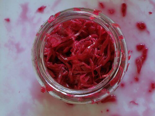 Kool om je darmflora te herstellen