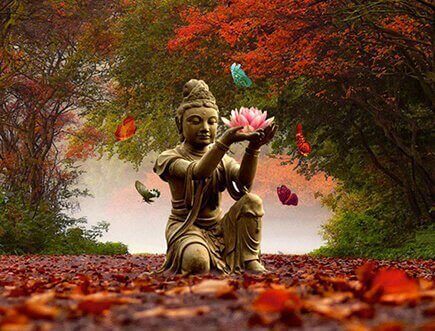 buddha-bloem Liefde