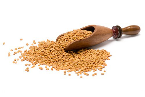 Fenegriek