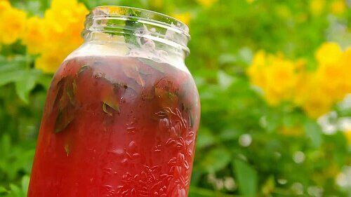 Een glas watermeloensap