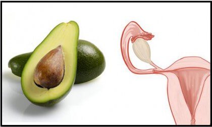 avocado en baarmoeder