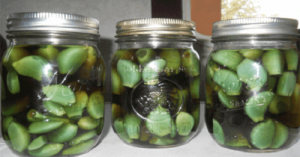 Ziektes voorkomen met knoflook, appelazijn en honing