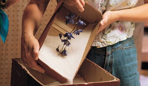 Bloemen drogen met silicagel
