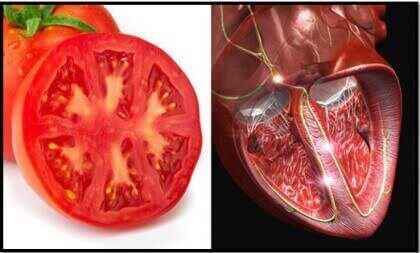hart en een tomaat