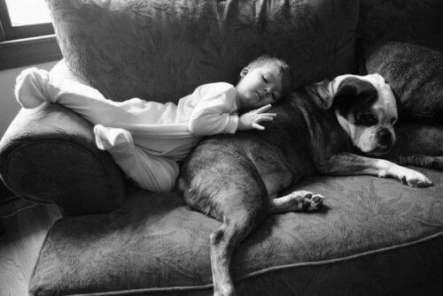 Slapend kind en hond