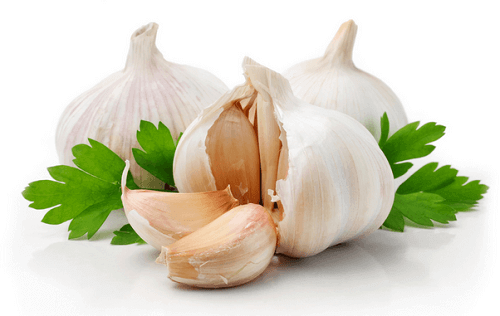 Knoflook een van de beste antibiotica