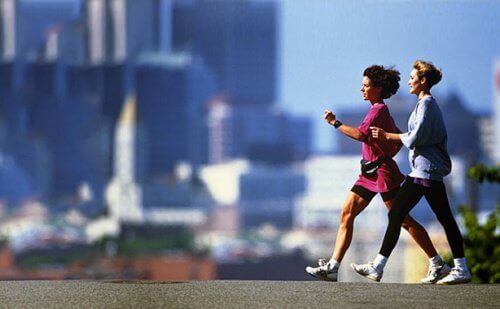 Sporten