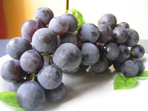 Druiven, een natuurlijk medicijn voor je nieren