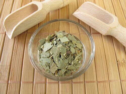 Hoofdluis bestrijden met eucalyptusbladeren