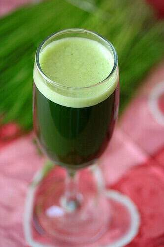 gazpacho