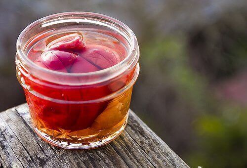 potje umeboshi pruimen