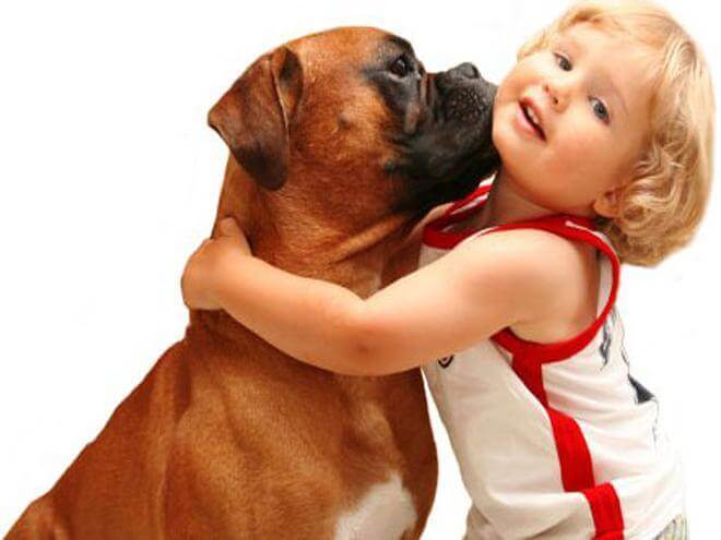 Kind en Hond