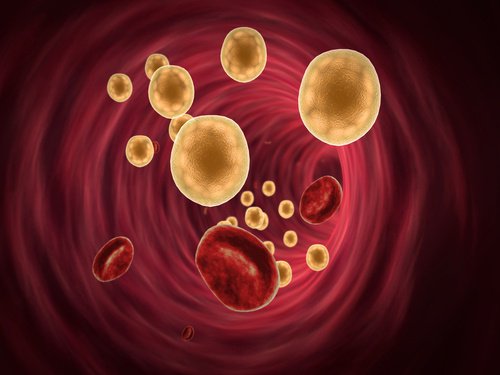 Goed cholesterol door havermout