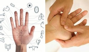 Jin Shin Jyutsu: herlaad je lichaam