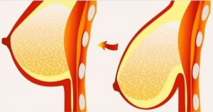 Acht tips en behandelingen voor hangborsten