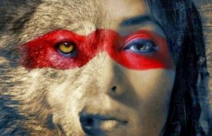 Wolven verliezen geen slaap door de mening van schapen