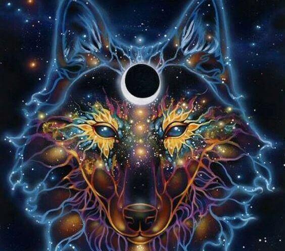 wolf gemaakt van sterren