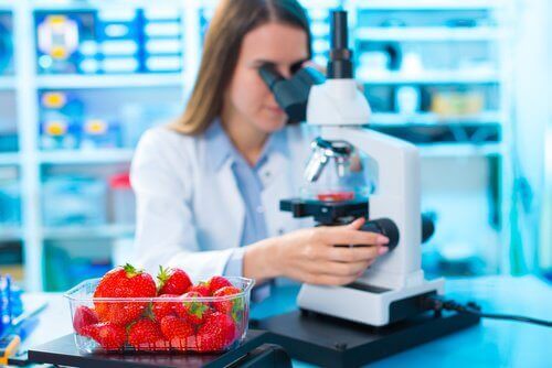 Microscopisch Onderzoek