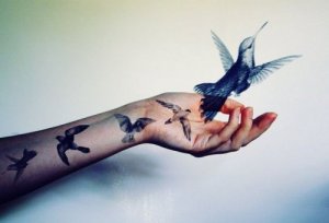 Intelligentie is dingen negeren die er niet toe doen