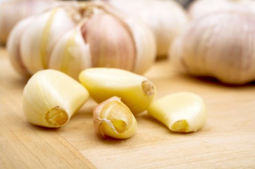 Knoflooktenen