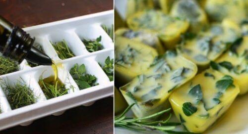 Het invriezen van kruiden