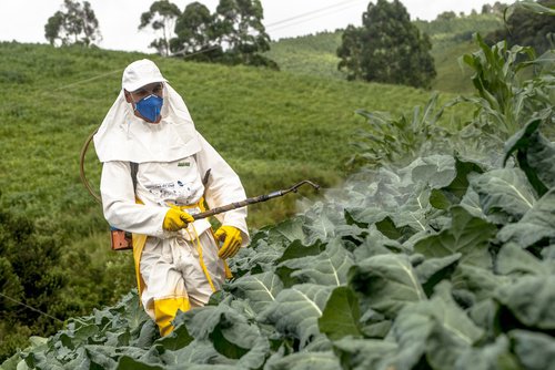 Pesticiden