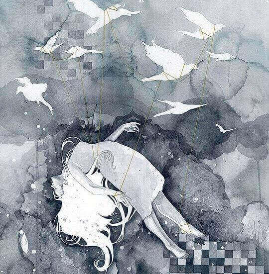 vogels in zwarte lucht