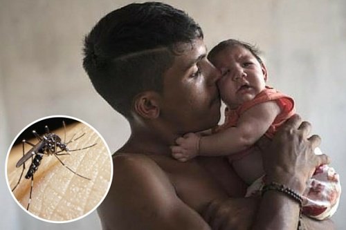Tien dingen die je moet weten over het zikavirus