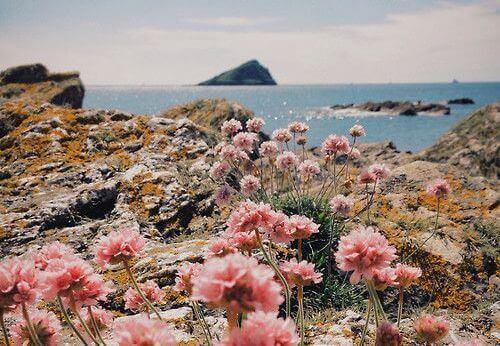 vriendelijkheid mooi uitzicht